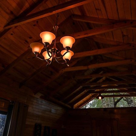 San Jose Del Pacifico- Cabanas Camino Al Cielo 3 Экстерьер фото