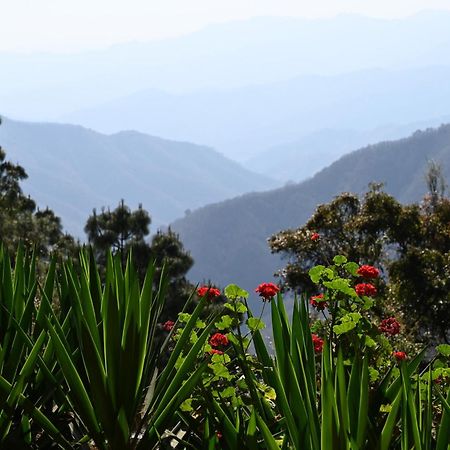 San Jose Del Pacifico- Cabanas Camino Al Cielo 3 Экстерьер фото