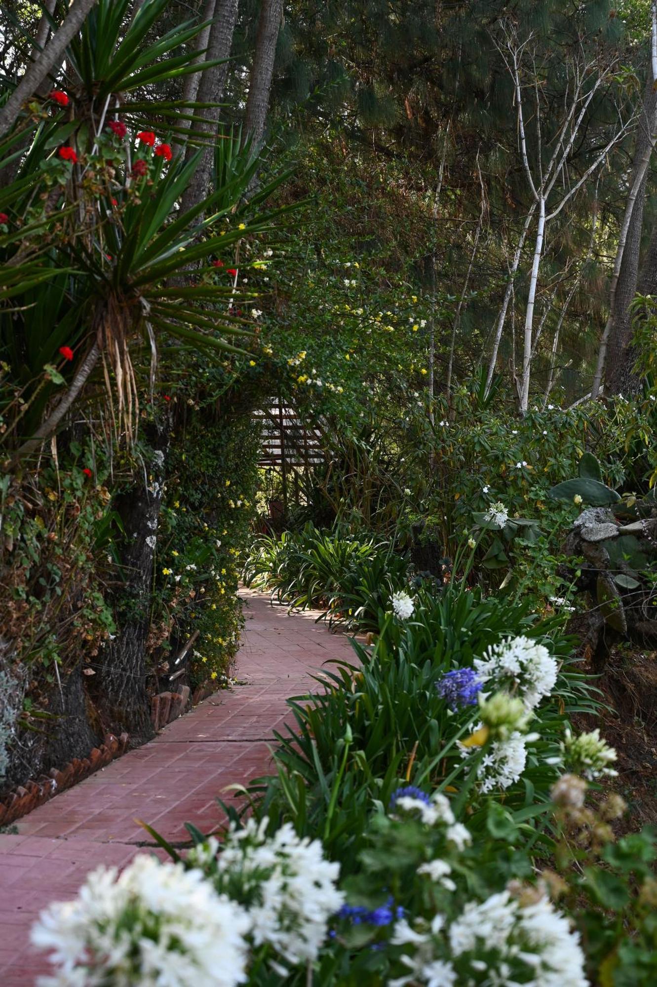 San Jose Del Pacifico- Cabanas Camino Al Cielo 3 Экстерьер фото