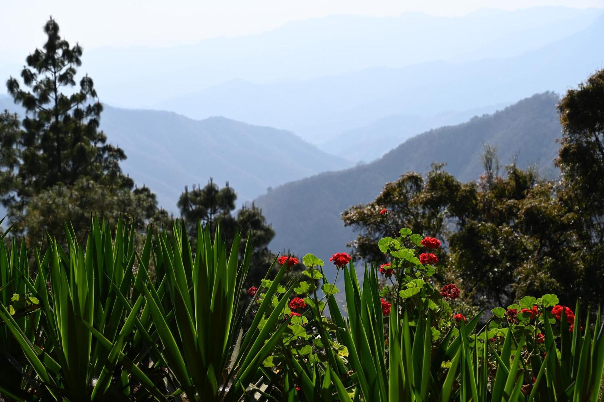 San Jose Del Pacifico- Cabanas Camino Al Cielo 3 Экстерьер фото
